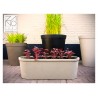 Blumenkasten aus Beton
